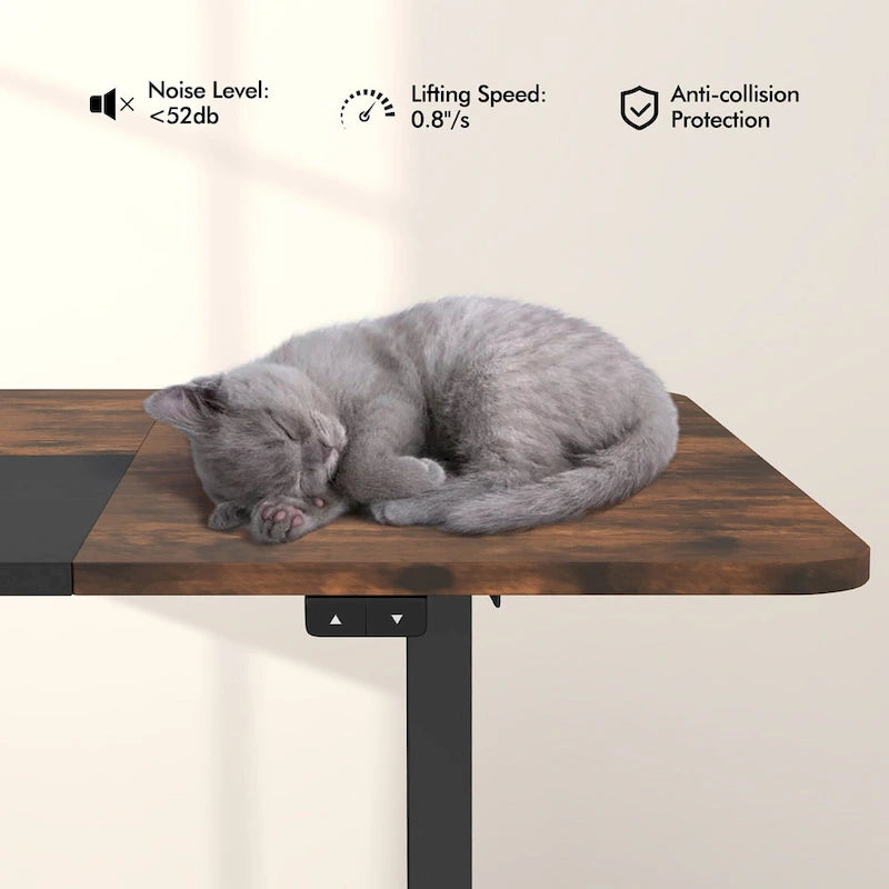 55-Inch Electric Height-Adjustable Standing Desk