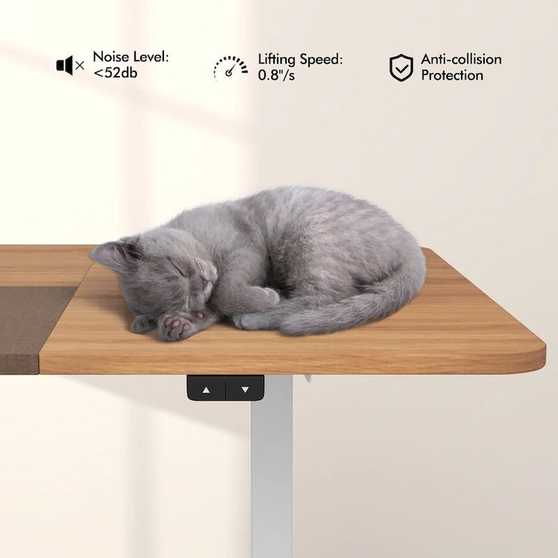 55-Inch Electric Height-Adjustable Standing Desk