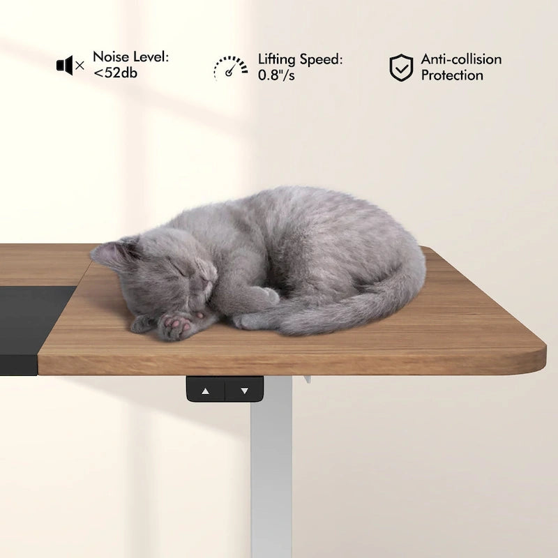 55-Inch Electric Height-Adjustable Standing Desk