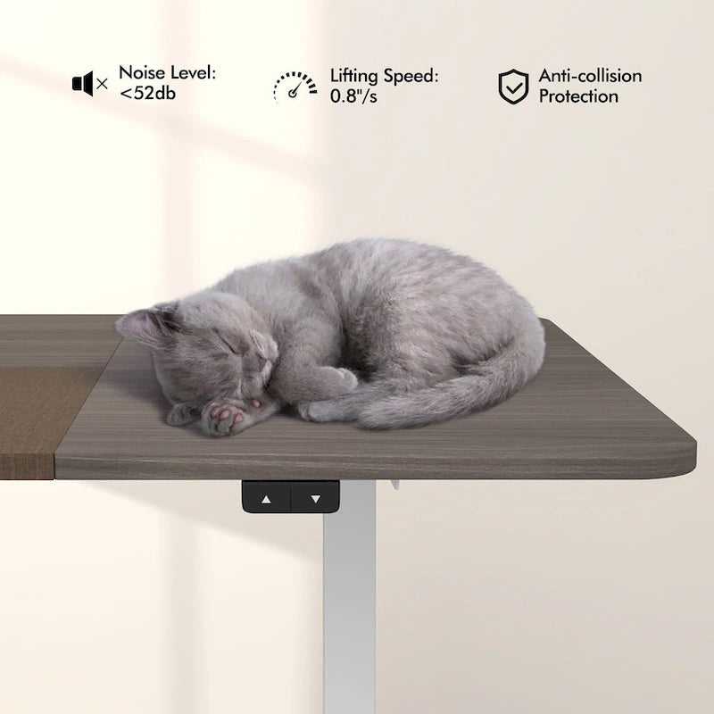 55-Inch Electric Height-Adjustable Standing Desk